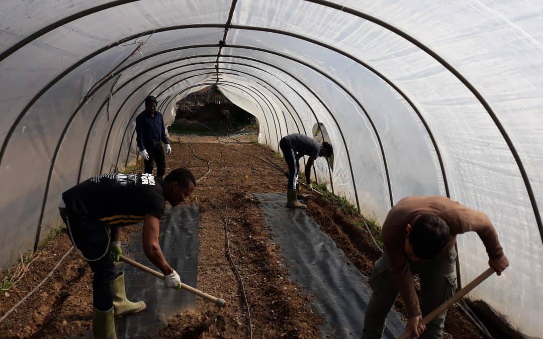 “Coltiviamo il nostro futuro” – raccogliamo i frutti